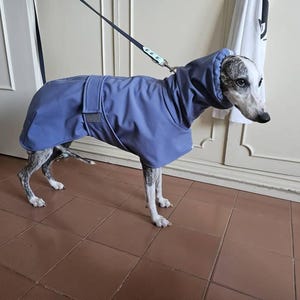 Eleonora added a photo of their purchase