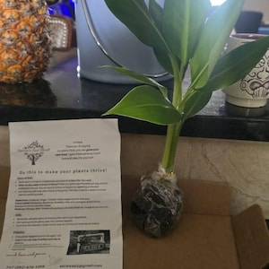 Comprador de Etsy ha añadido una foto de su compra