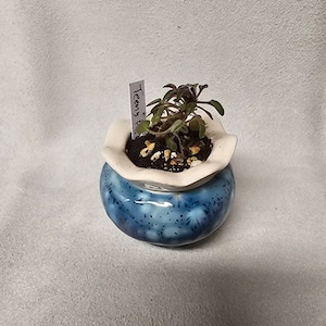 JCraft added a photo of their purchase