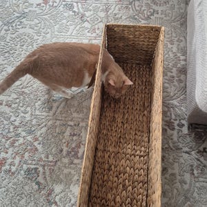 Jazz added a photo of their purchase