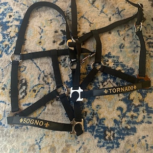 Trish added a photo of their purchase