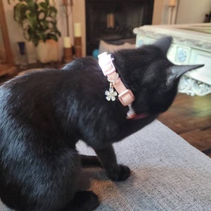 Margie added a photo of their purchase