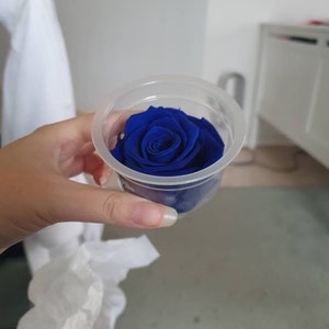Ocean Blue Preserved Rose | SINGLE DRIED ROSE, Forever Dried Rose