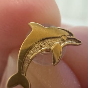 Customer photo, Dolphin Stud Earrings