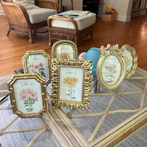 Marlene added a photo of their purchase
