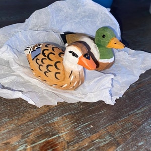 Lexi ha añadido una foto de su compra