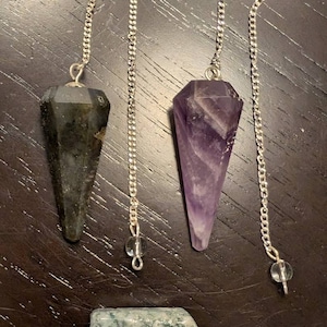 Shelly added a photo of their purchase