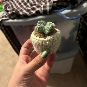Brittany added a photo of their purchase