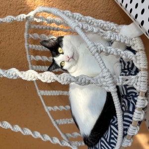 Hamaca para gatos de macramé, cama colgante tejida a mano para mascotas,  silla colgante boho/cama oscilante para mascotas -  España