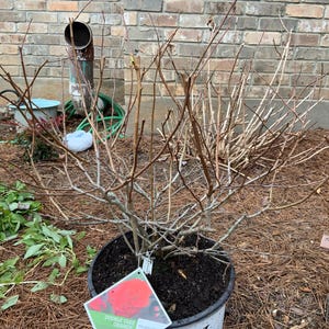 Debbie added a photo of their purchase