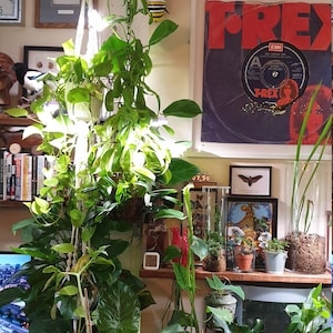 Graham added a photo of their purchase