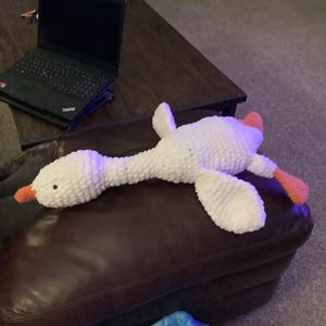 jean added a photo of their purchase