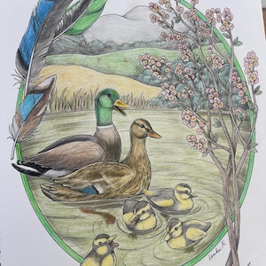 Elisabeth added a photo of their purchase