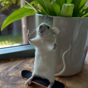 Tamsin’s added a photo of their purchase