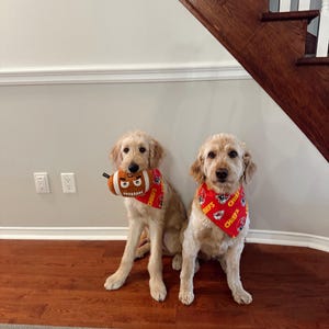 Tessa added a photo of their purchase