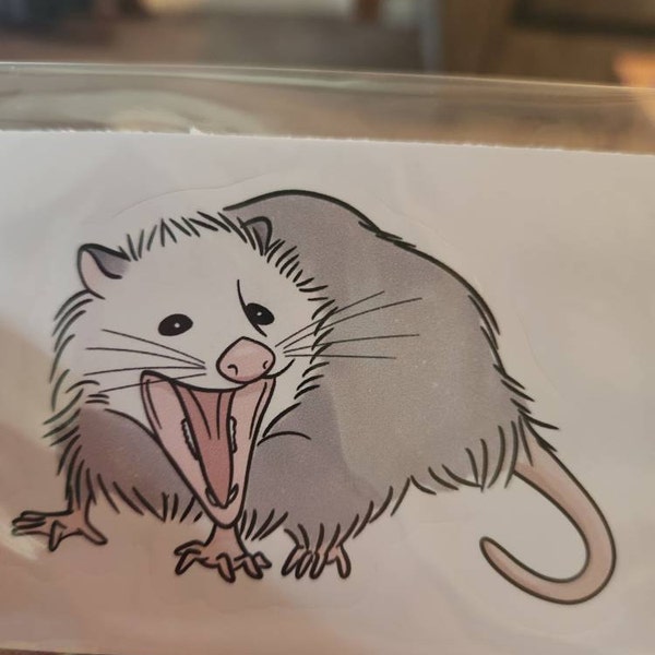 Cute Possum Opossum Vinyl Sticker | Animal Laptop Sticker | Water ...