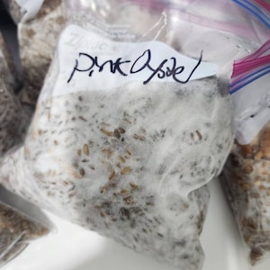 Will added a photo of their purchase