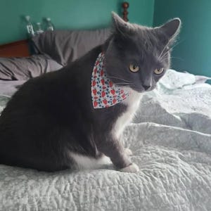 猫用バンダナ - 「ベリーブランブル」 - 猫と小型犬用ブルーベリー
