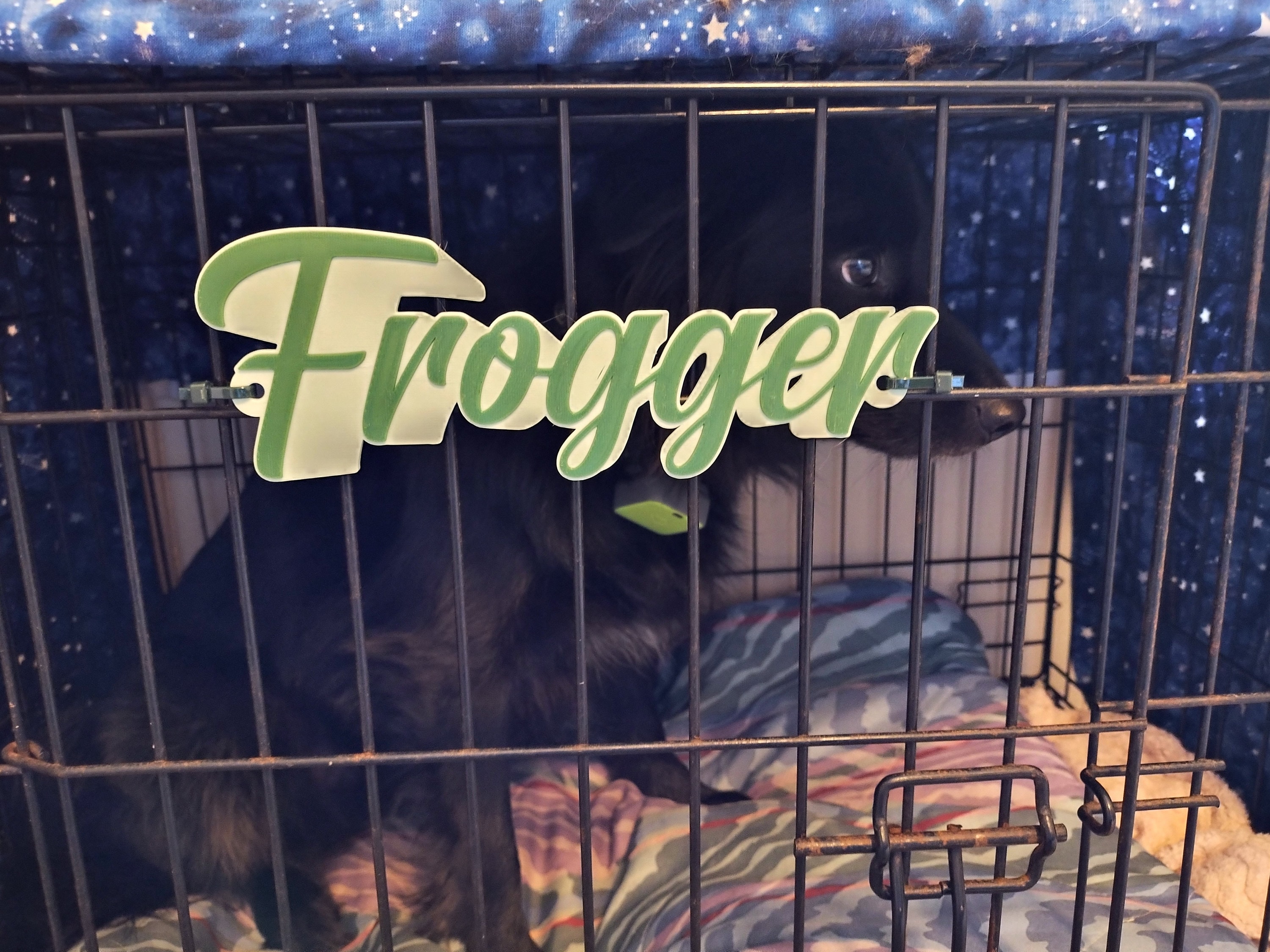 Mr. Brightside Personalized Pet Crate Tag, Dog Kennel Sign