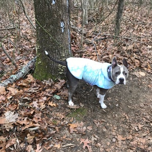 walter ha añadido una foto de su compra