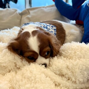 Jennifer ha añadido una foto de su compra