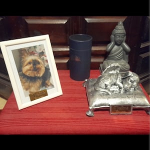 Alexandre added a photo of their purchase