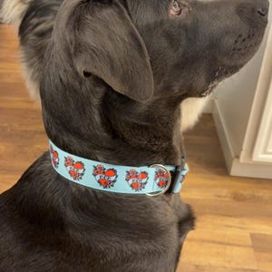 haley added a photo of their purchase