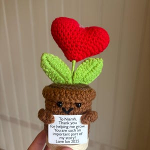 Cute 3PCS Plants,Thank You For Helping Me Grow,Crochet Sunflowers/Hearts/Rose Plants,Emotional Support Crochet,Thank You Gift,Teacher Gift