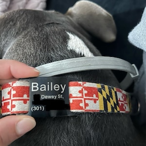 Lora added a photo of their purchase