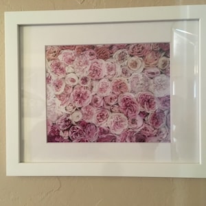 Greer added a photo of their purchase