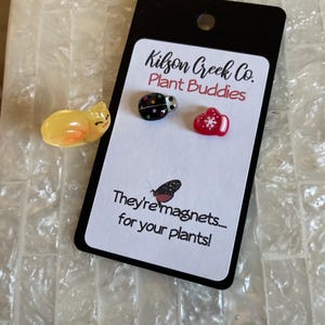 Deborah added a photo of their purchase