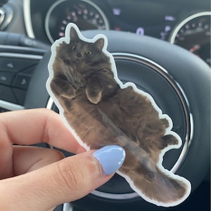 Ashley added a photo of their purchase
