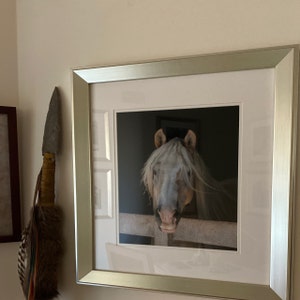 noni ha añadido una foto de su compra