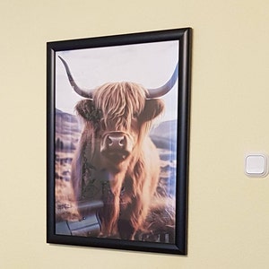 Carola added a photo of their purchase