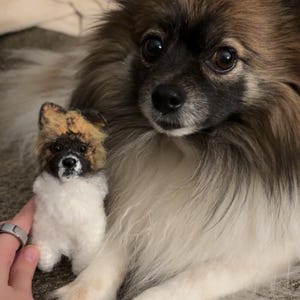 Jadyn added a photo of their purchase