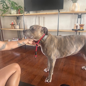 Diana added a photo of their purchase