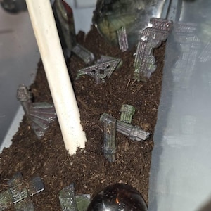 M added a photo of their purchase