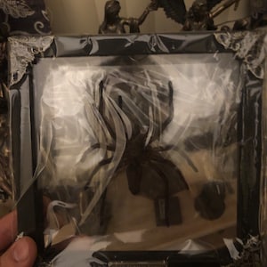 Xavier added a photo of their purchase