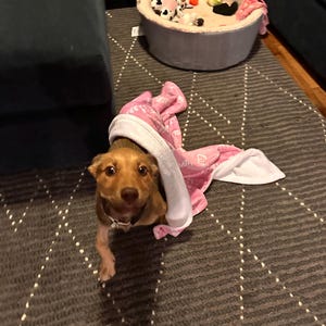 Jazmin adicionaram uma foto da sua compra