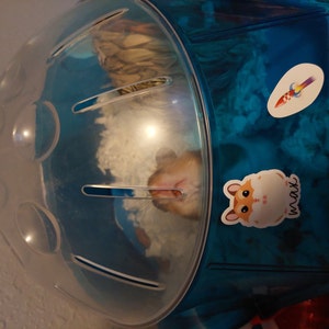 Tara added a photo of their purchase