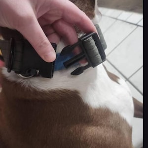 Bailey added a photo of their purchase