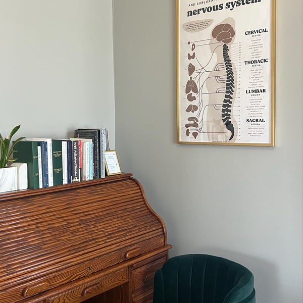 Chiropractic ANS Chart + Nervous System Poster | Subluxation Effects - Etsy