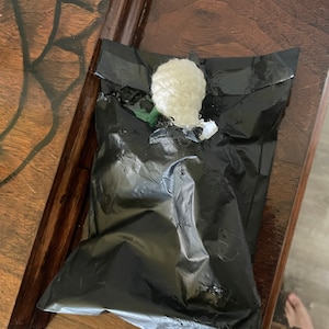 Summer added a photo of their purchase