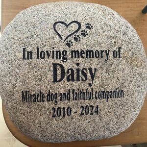 Custom Hand Painted Rocks - Etsy