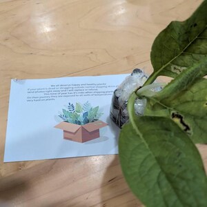 Tasha hat ein Foto des gekauften Artikels hinzugefügt