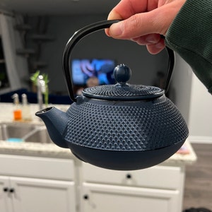 eiwit tentoonstelling Dor Unique Home Gift Japanese Tea Set Cast Iron Teapot With Tea - Etsy