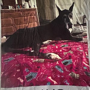 Rita added a photo of their purchase