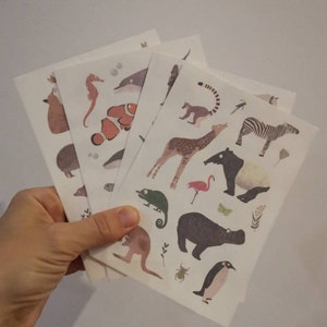 Anna a ajouté une photo de son achat