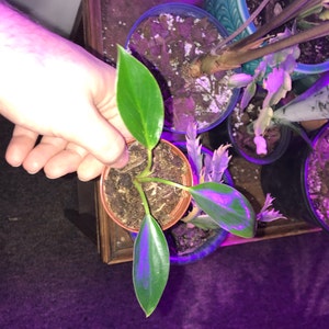 Keith added a photo of their purchase
