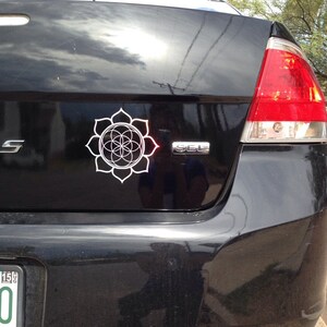 Alexandria added a photo of their purchase